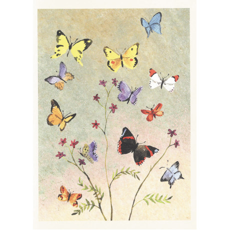 DUBBELKORT BUTTERFLIES